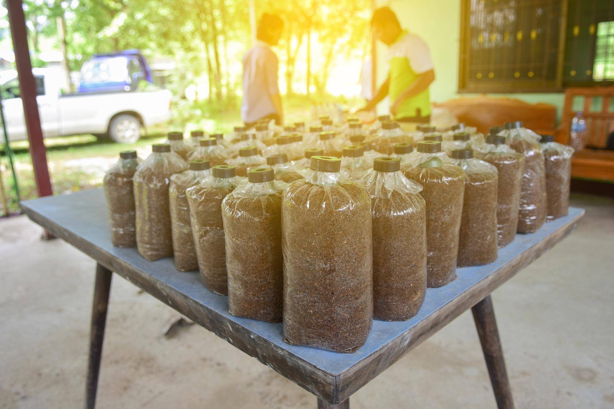 Czy pellet podlega akcyzie w polskich przepisach?