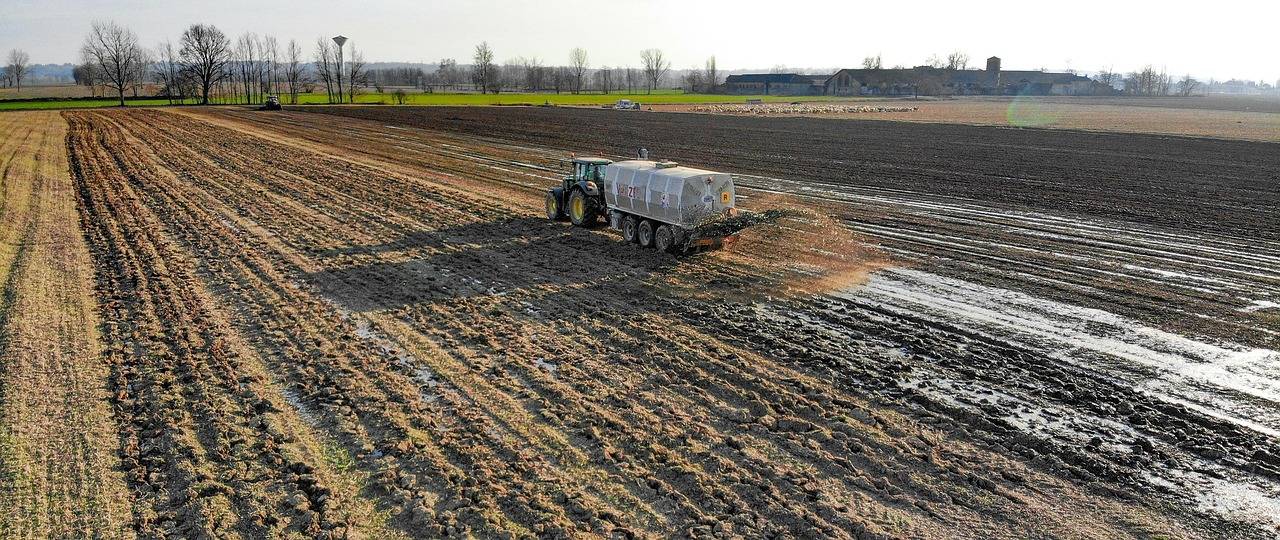Jak samemu zrobić nawóz do kwiatów i zadbać o ich wzrost?